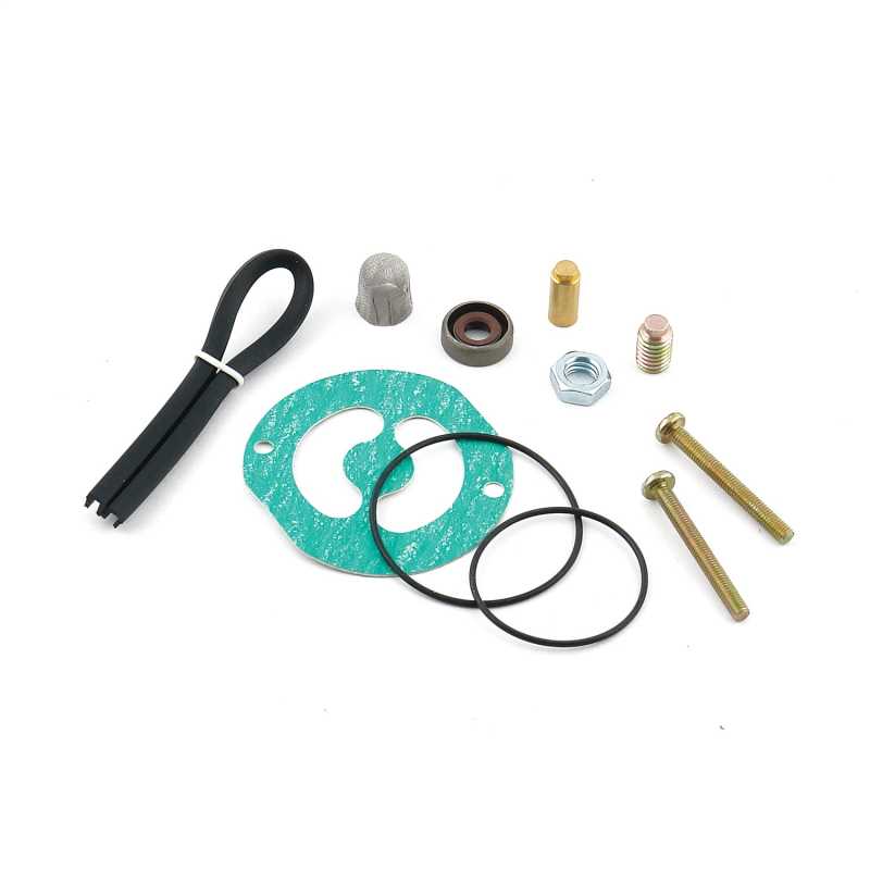 Comp Pump Seal And Repair Kit 29829